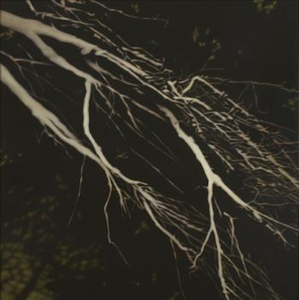 Prenumbral #1 by Andrew Browne