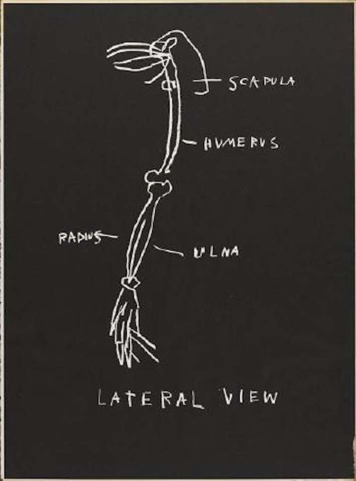 Lateral view by Jean-Michel Basquiat