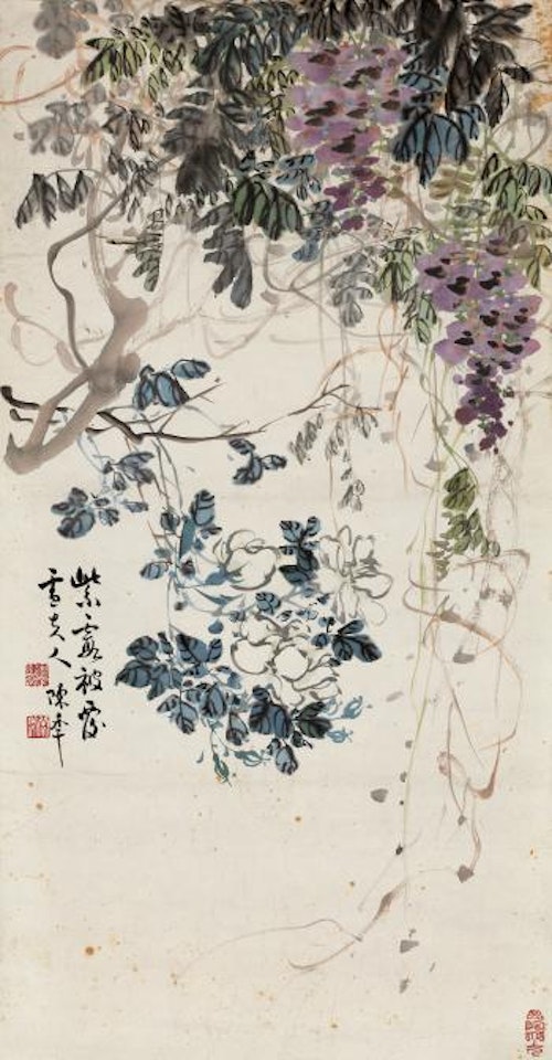 Wisteria by Chen Banding