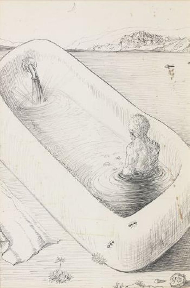 Bathroom Soliloquies by Salvador Dali