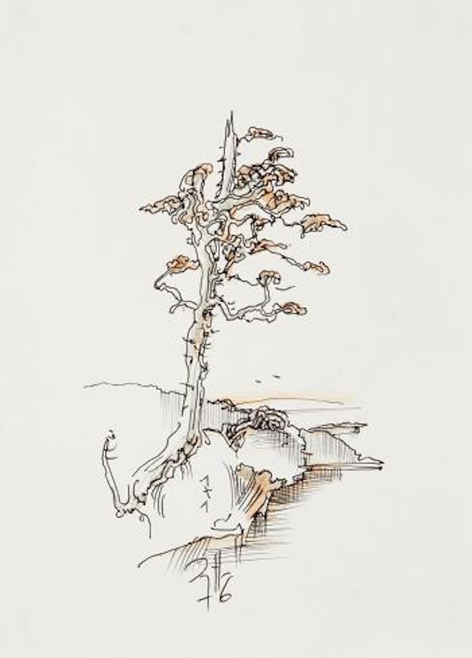 Knotted Tree by Horst Janssen