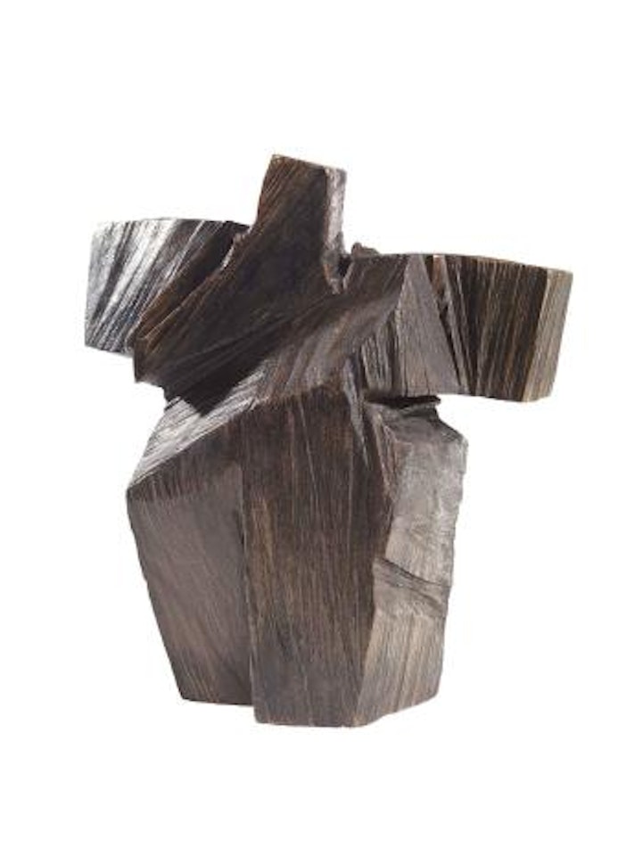 Taichi Series: Preparation for Underarm Strike by Ju Ming