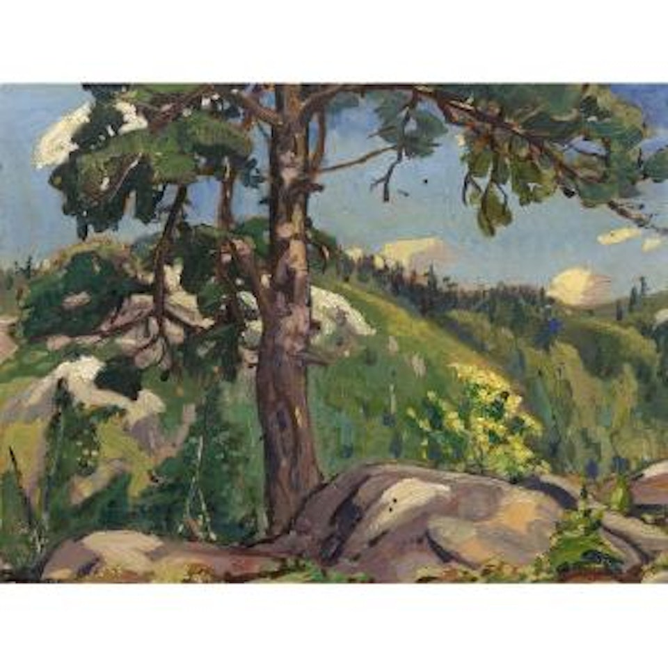 The pine tree by Arthur Lismer