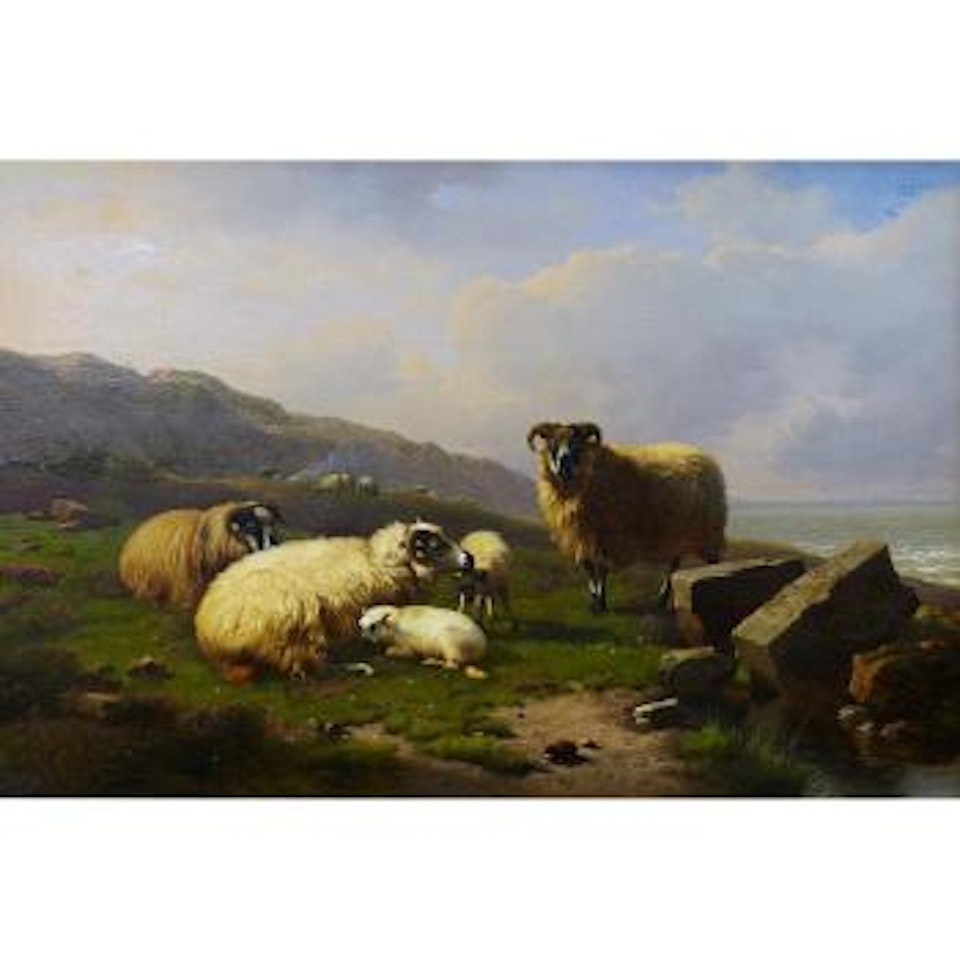 Sheep, ewes and lamb in a pasture by a sea by Eugène Joseph Verboeckhoven
