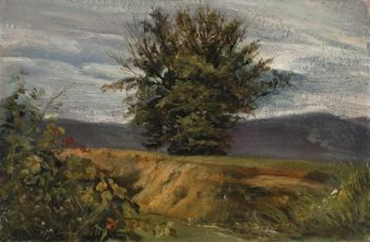 Baum Am Abhang by Christian Friedrich Gille