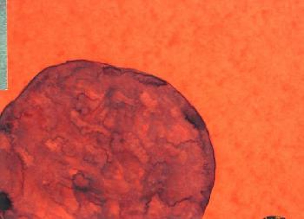 Into the emptiness V by James Brown