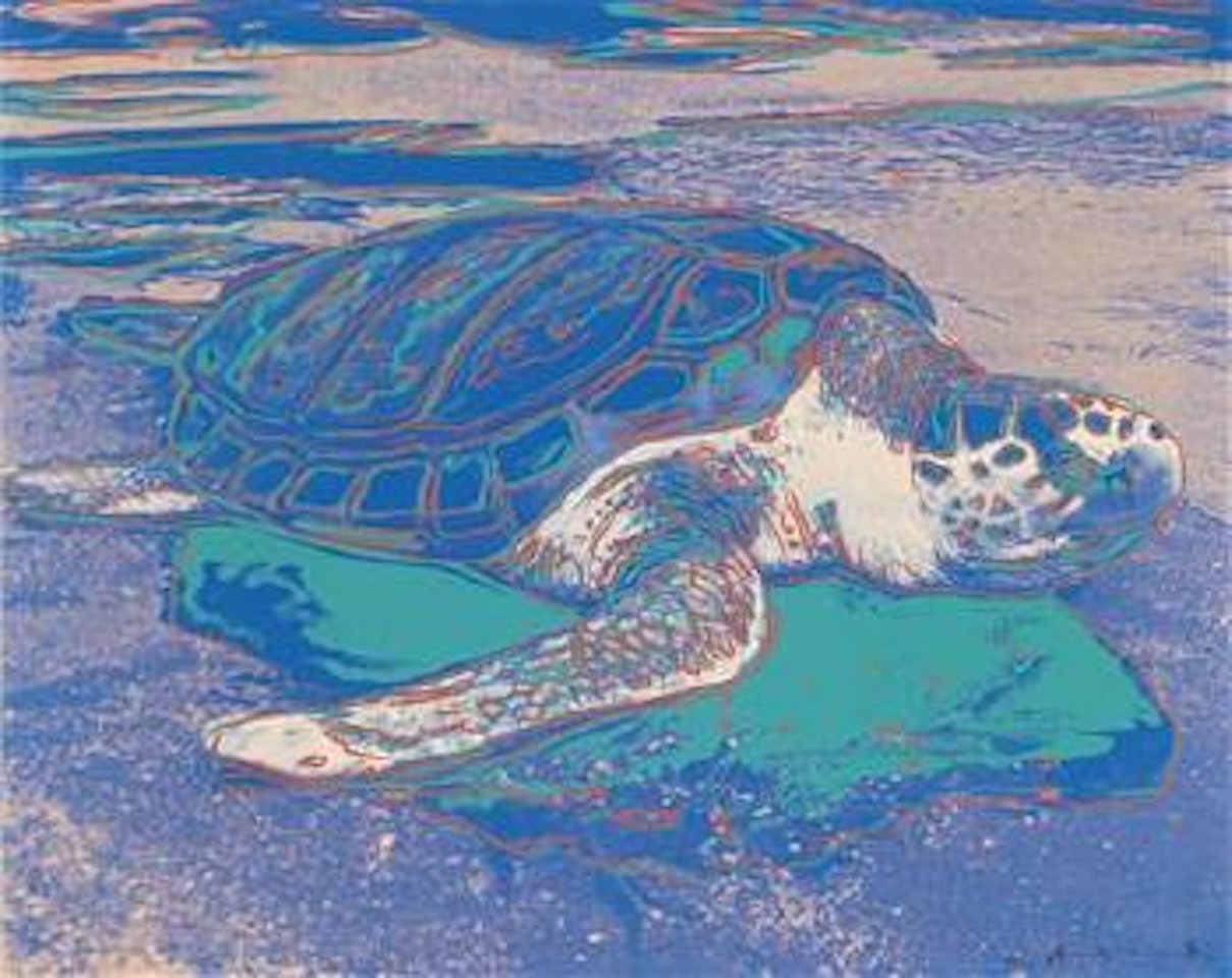 Turtle by Andy Warhol