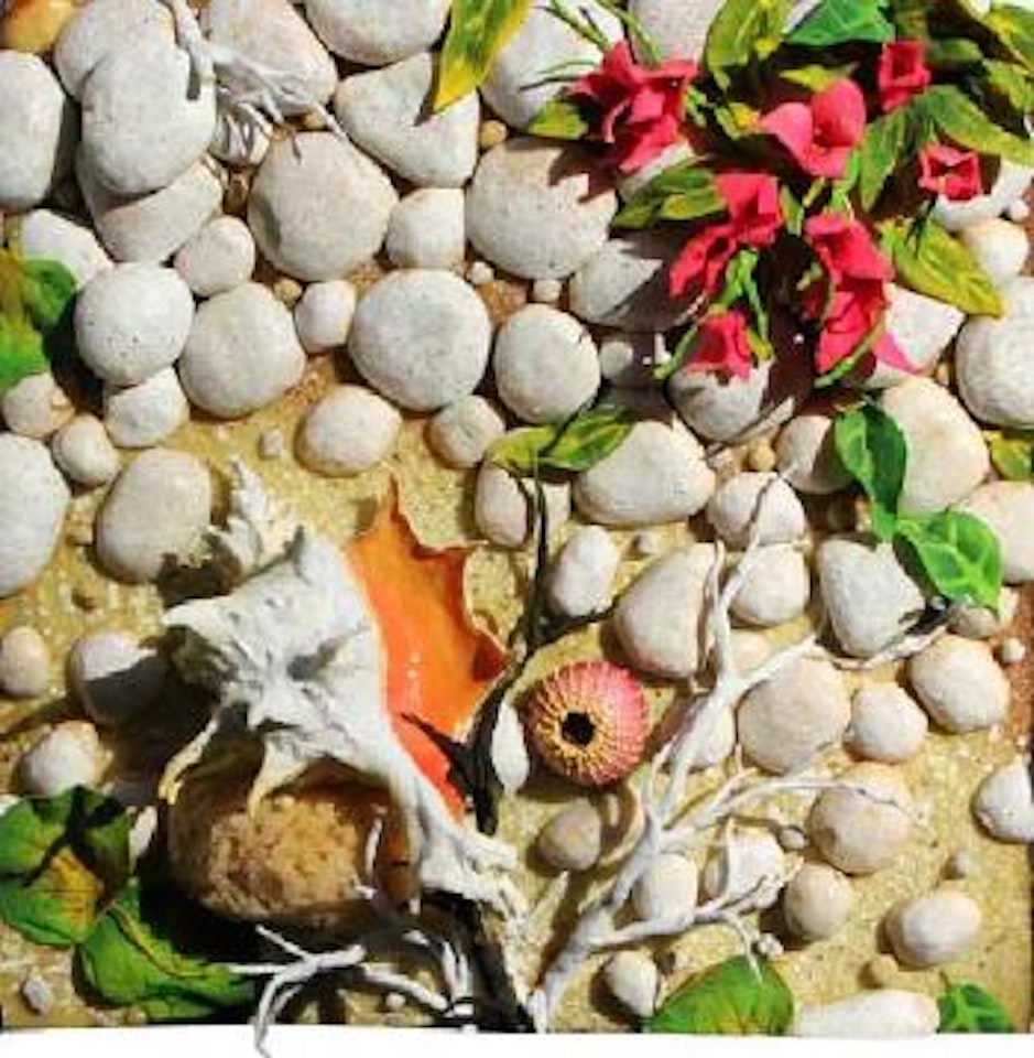 Conchiglia e bungavillea by Piero Gilardi