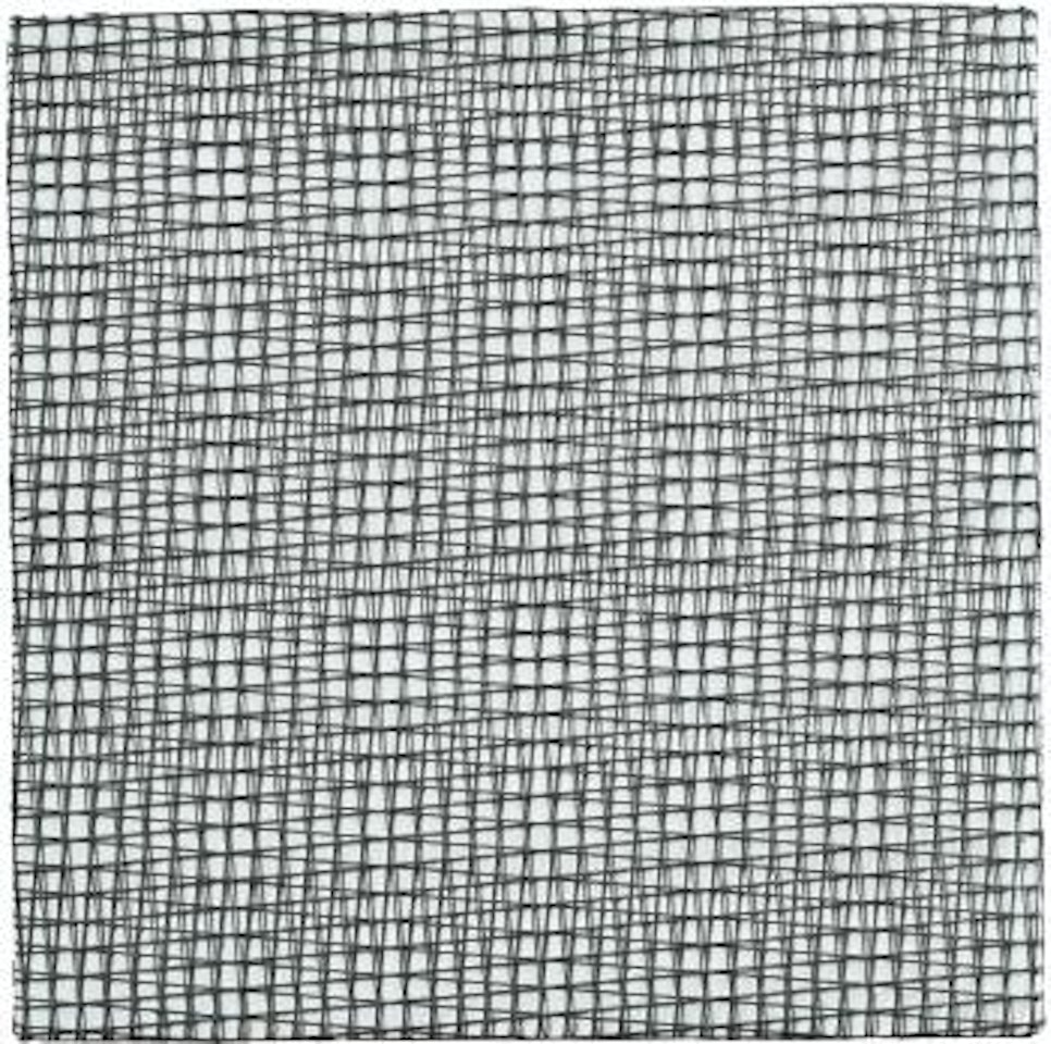 2 Trames De Grillage -5°+5° (# 10 MM) by Francois Morellet