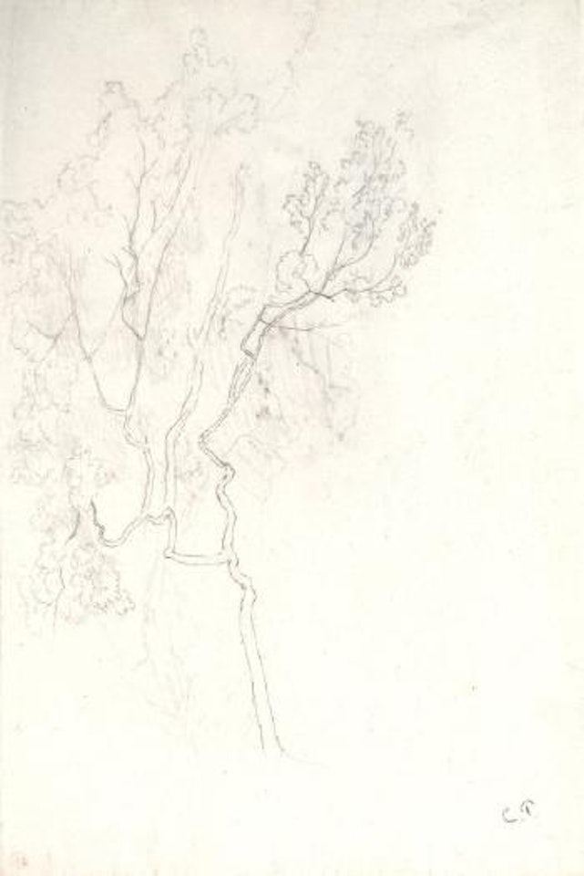 Étude d'arbre (Study of a Tree) by Camille Pissarro