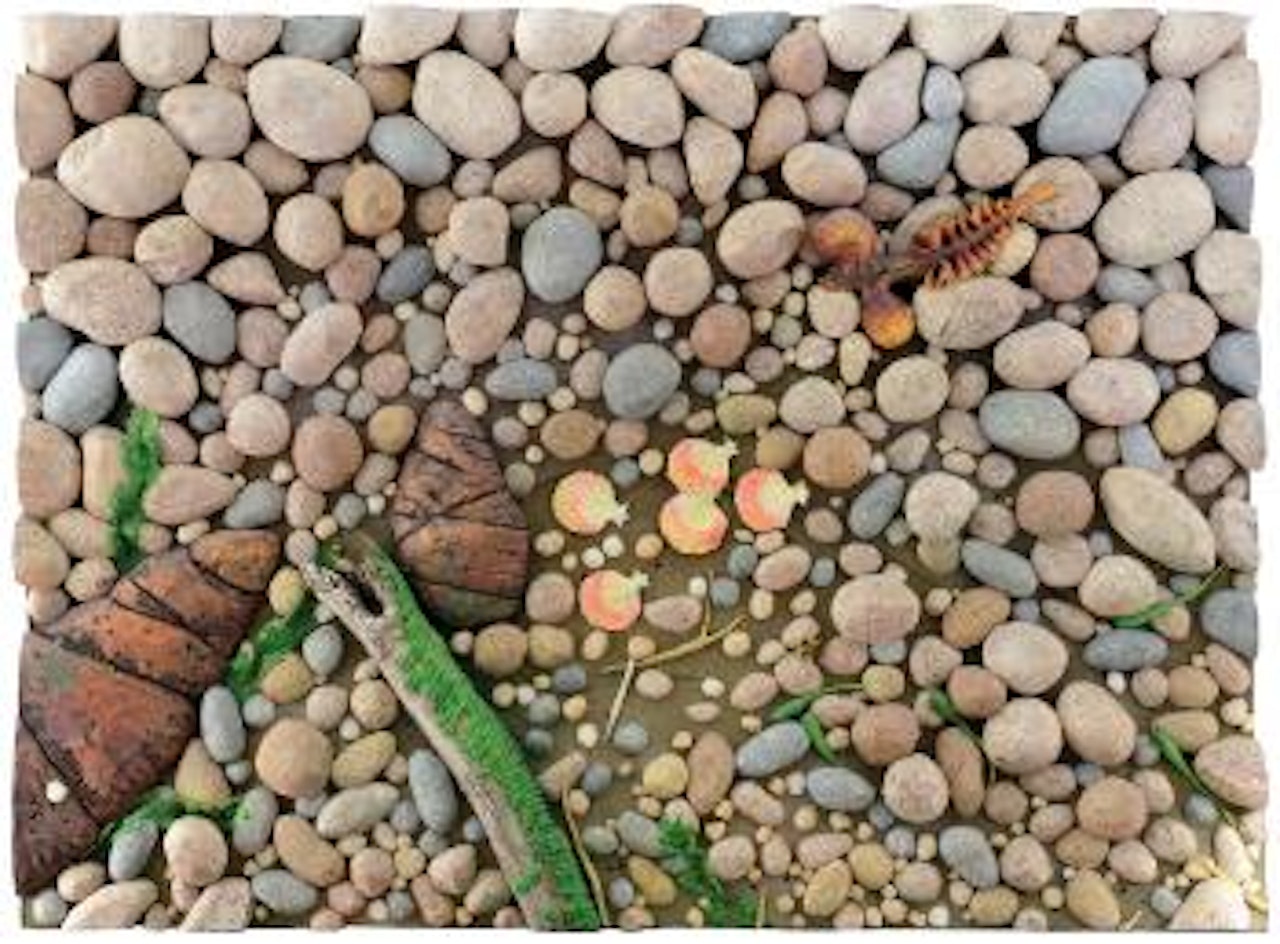 Spiaggia di granito rosa by Piero Gilardi