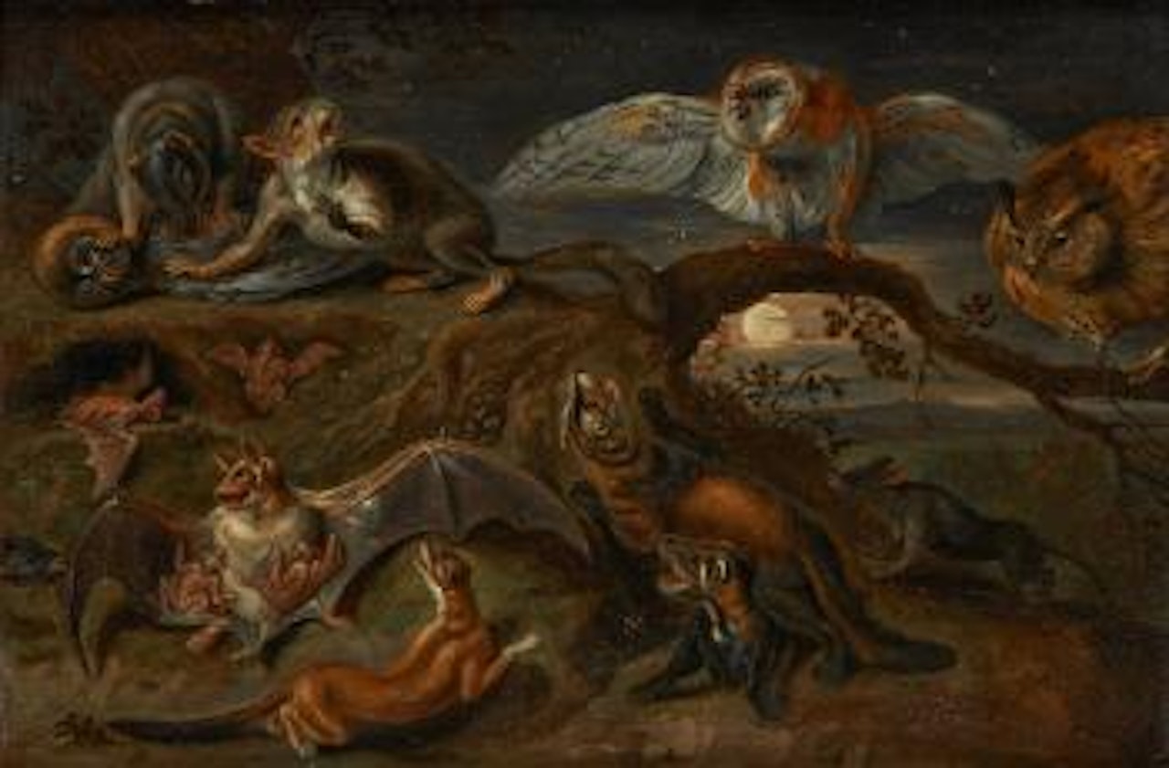Les animaux de nuit by Jan Van Kessel The Elder