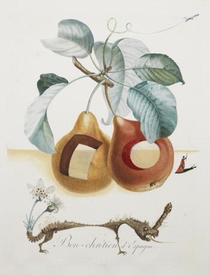 Fruits troués (Pierced Fruit) by Salvador Dali
