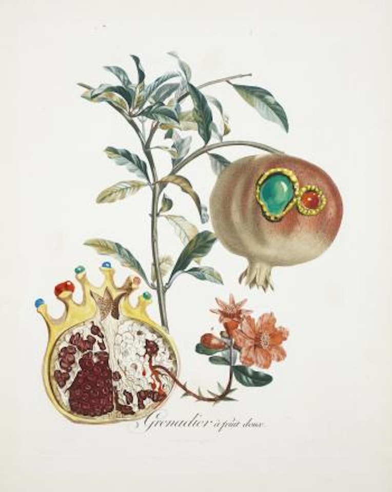 Grenade et l'ange (The Pomegranate and the Angel) by Salvador Dali