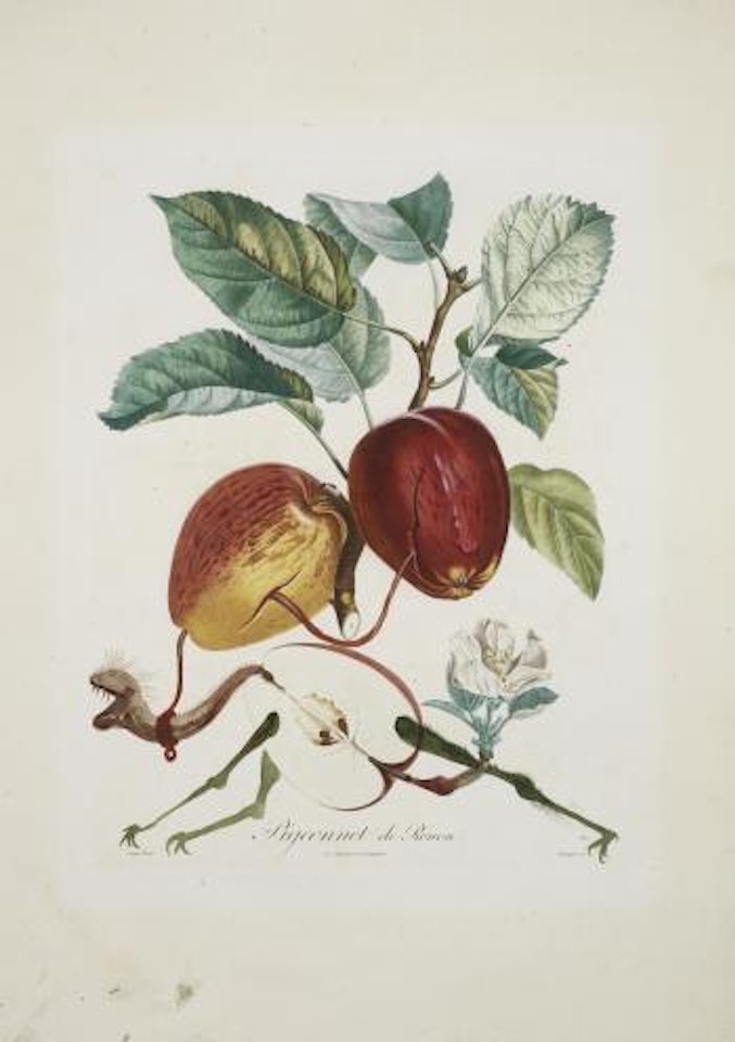 Pomme Dragon (Dragon Apple) by Salvador Dali