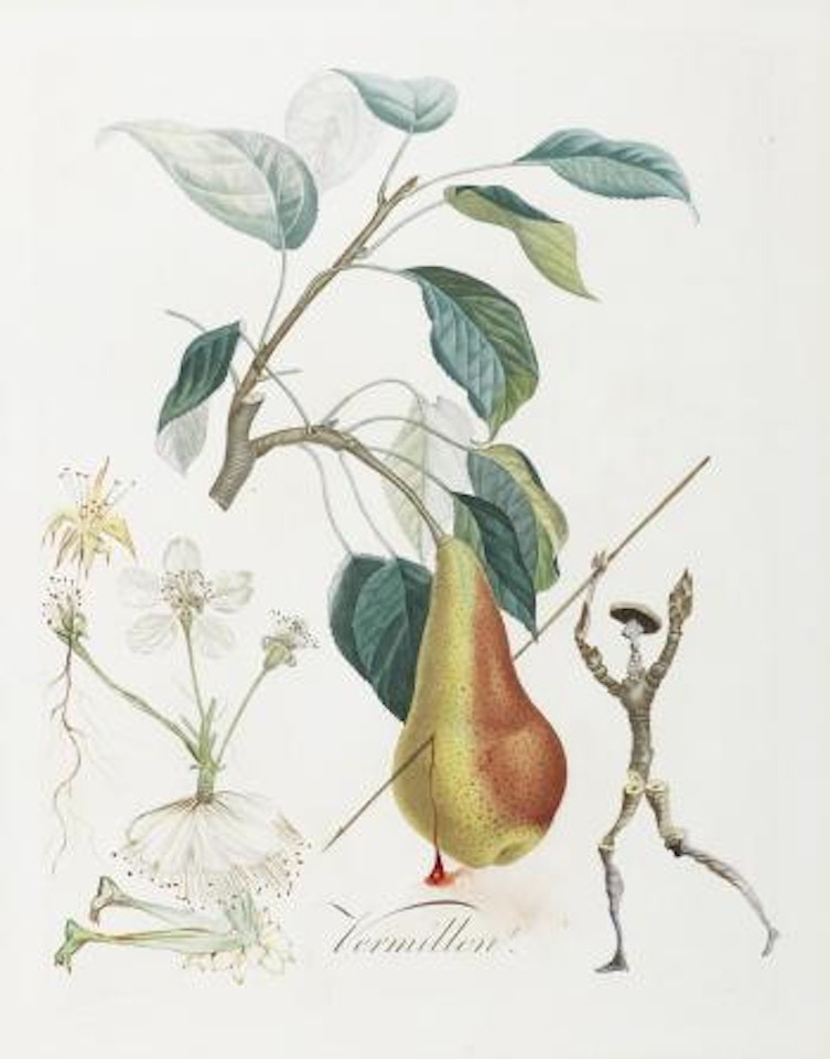 Poire Don Quichotte (Don Quixote Pear) by Salvador Dali