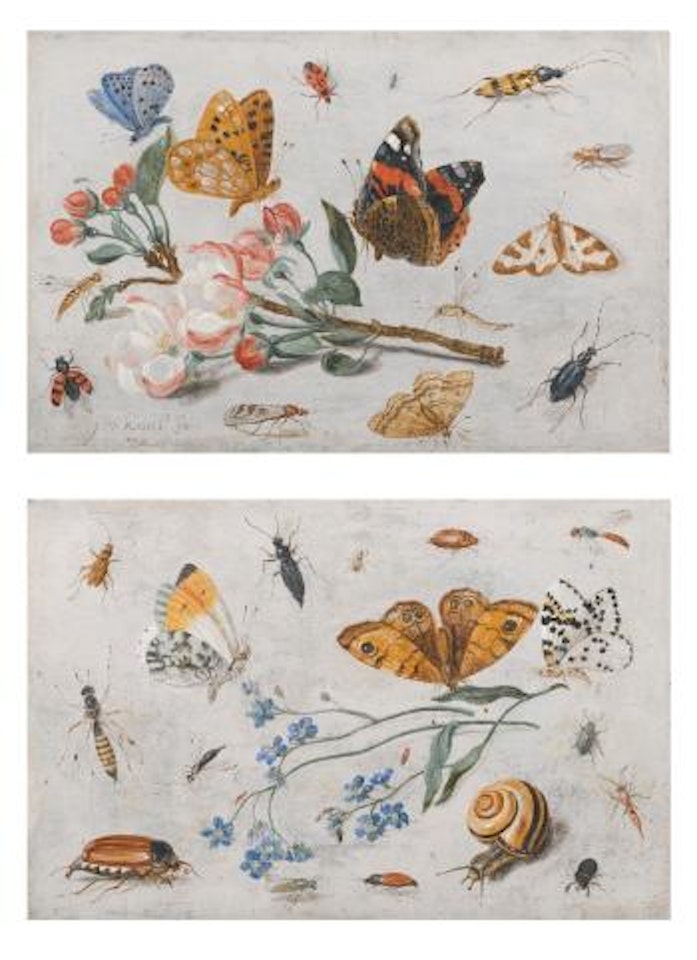 Study Of Insects, Butterflies And a Snail With a Sprig Of Forget-me-nots; Study Of Butterflies And Other Insects With a Sprig Of Apple Blossom by Jan Van Kessel The Elder