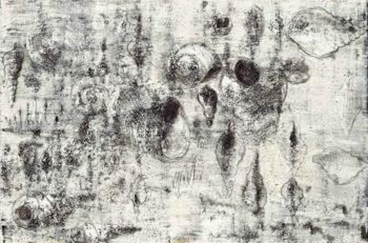 Des Coquilles Vides (Empty Shells) by Miquel Barcelo
