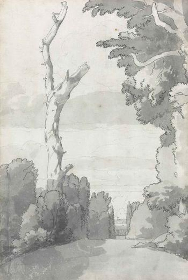 A blasted pine in the gardens of the Villa Mondragone Gardens, Frascati, Italy by Francis Towne