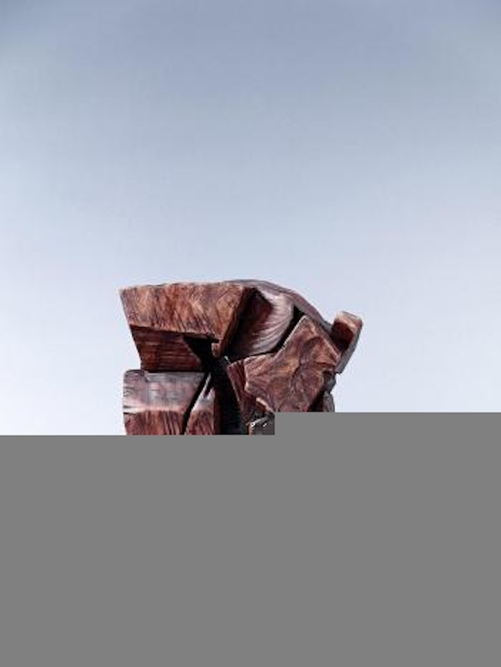 Taichi series – arch by Ju Ming