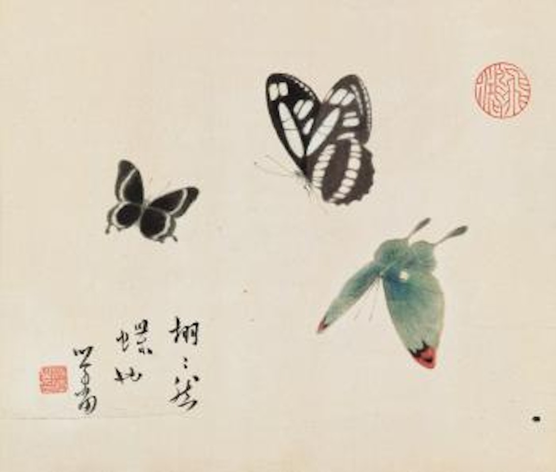 Butterfly by Pu Ru