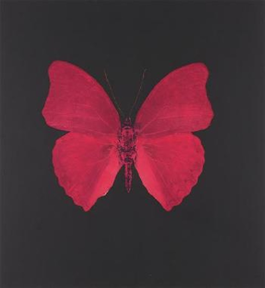 Unique Red Butterfly by Damien Hirst