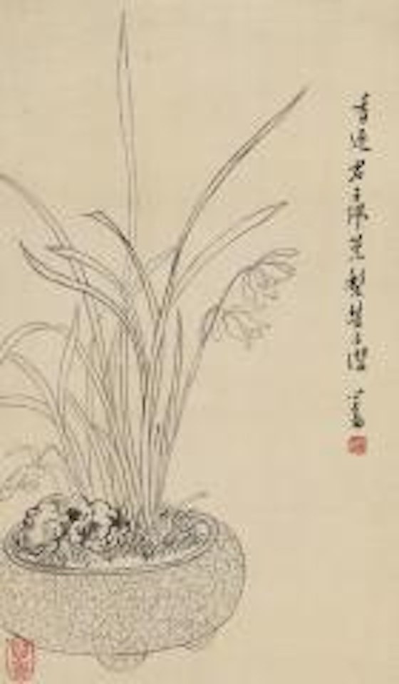Orchid by Pu Ru