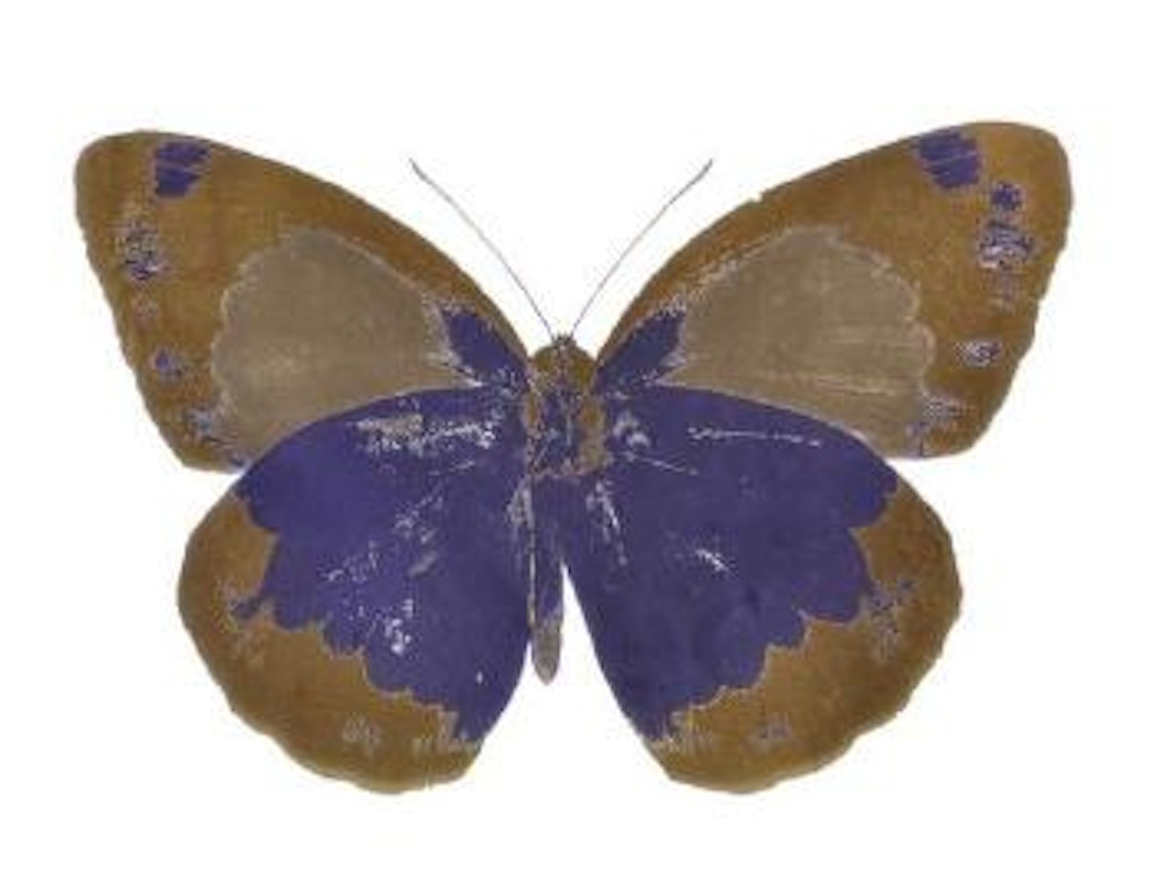 The Souls II (Westminster Blue, Oriental Gold) by Damien Hirst