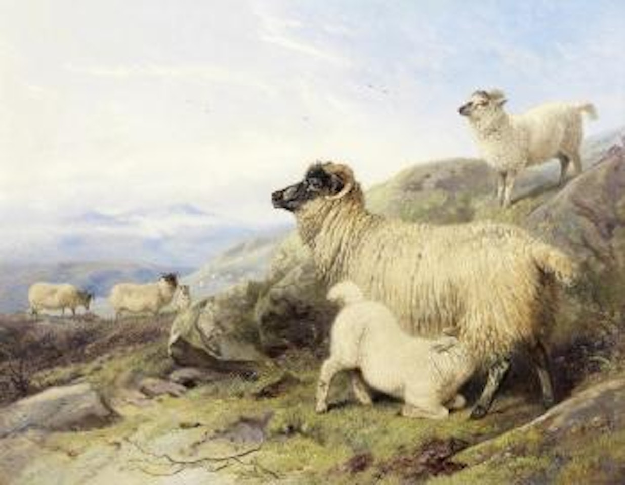 Sheep on a mountainside by Richard Ansdell
