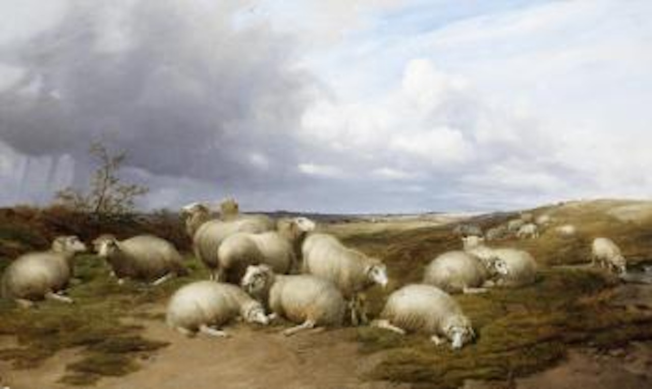 Sheep in a landscape by Thomas Sidney Cooper