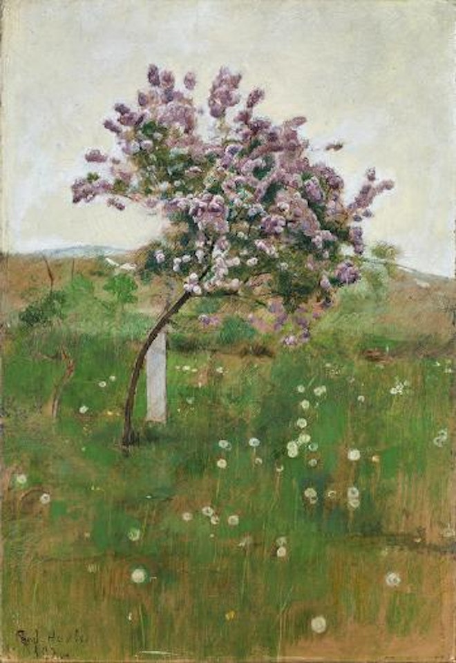 Fliederbäumchen by Ferdinand Hodler