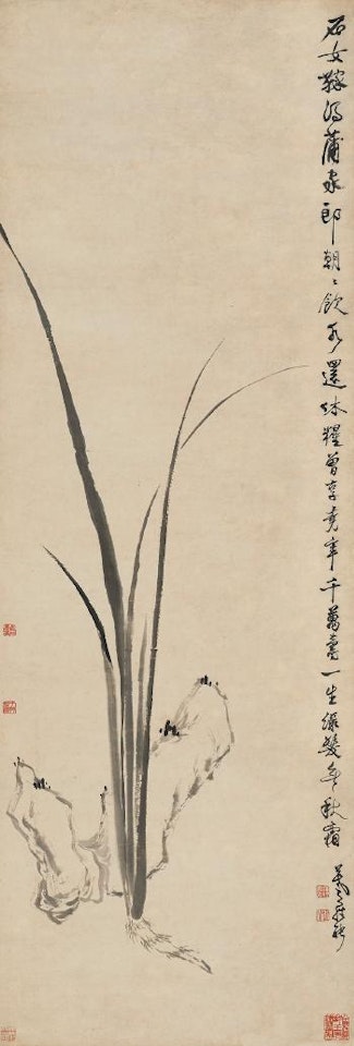 Plant And Rock by Luo Ping