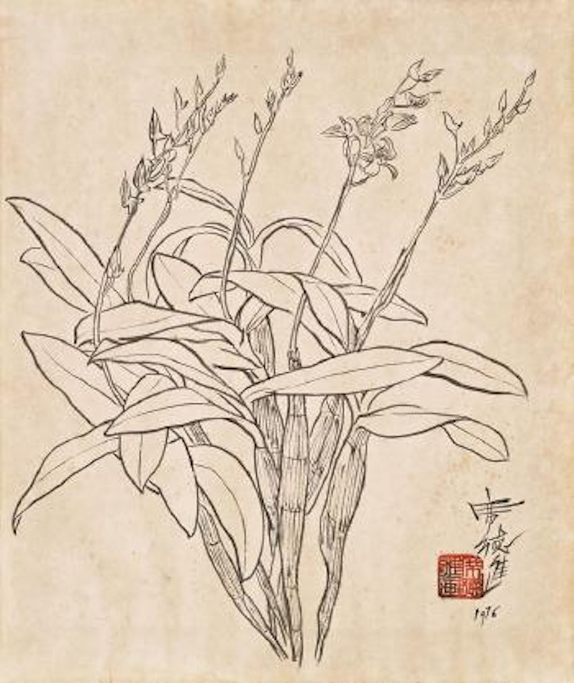 Orchid by Xi Dejin