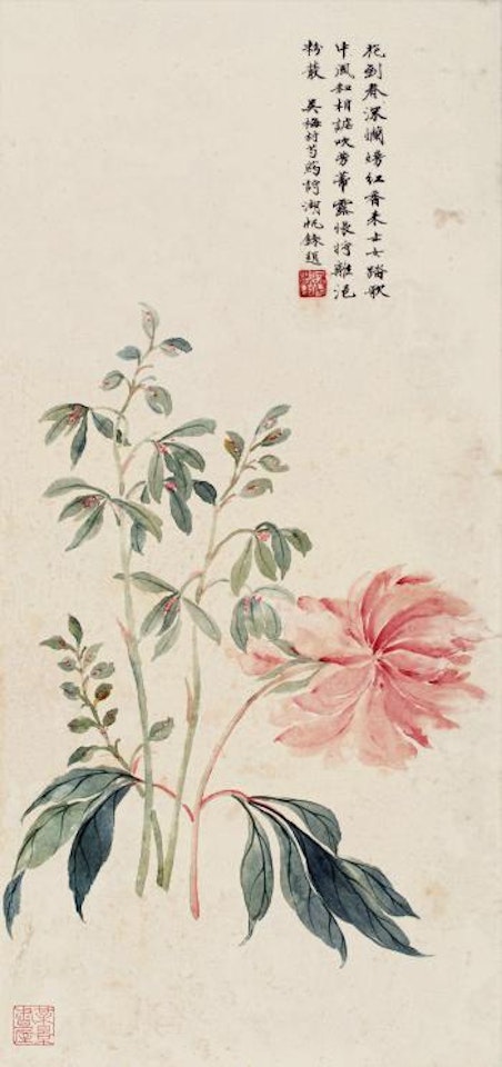 Peony by Wu Hufan