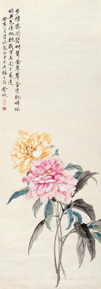 Peony by Jin Cheng
