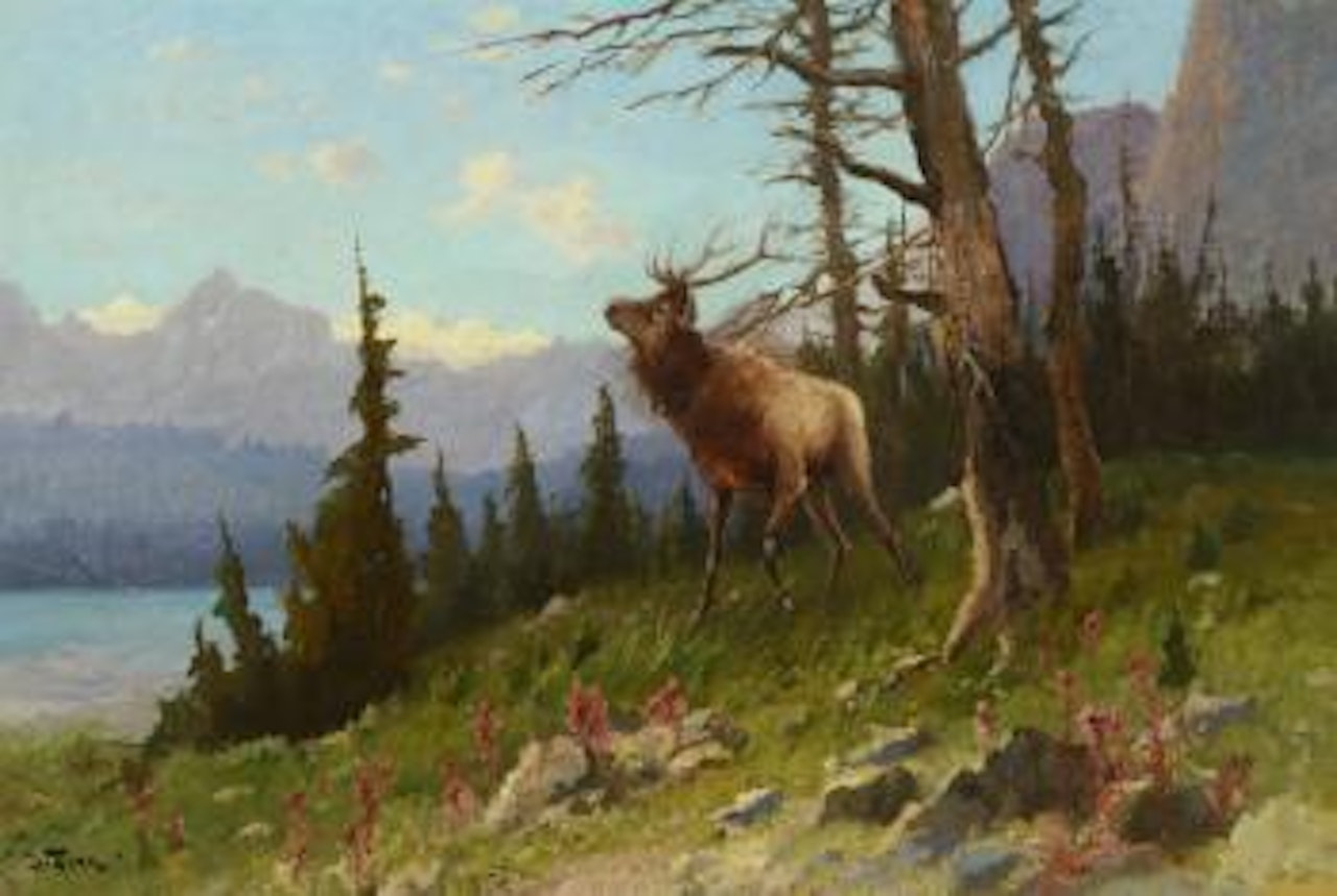 Elk in the Mountains by John Fery
