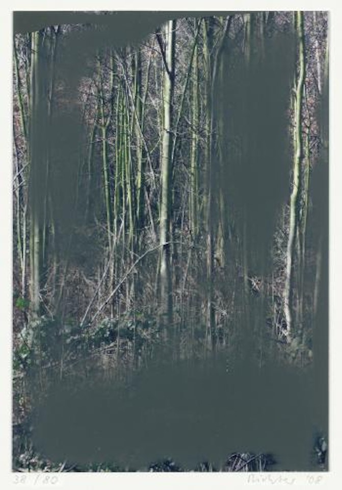 Wald by Gerhard Richter