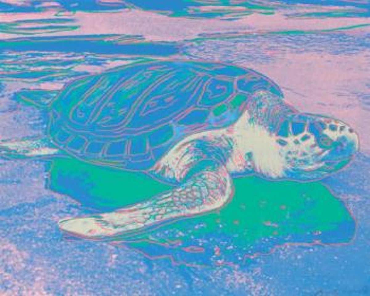 Turtle by Andy Warhol