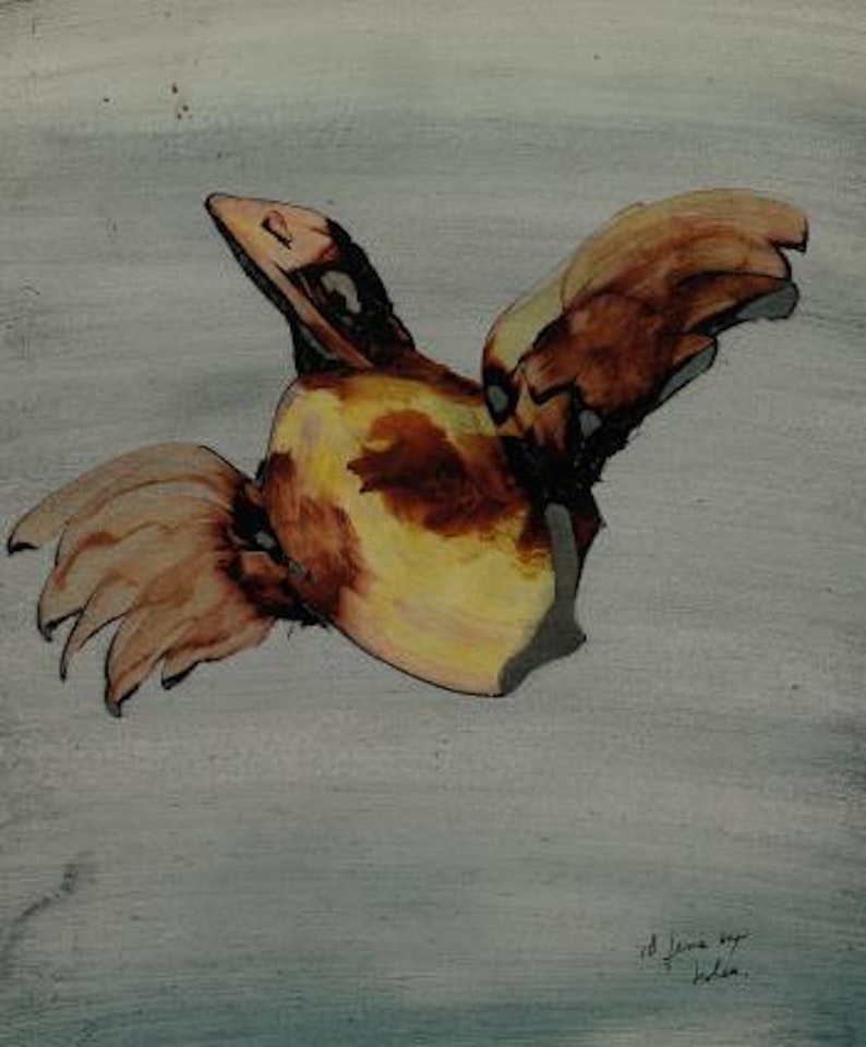 Bird by Sidney Nolan