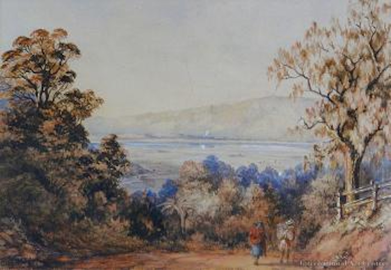 Pukawa Lake from the Te Aute Road, Hawkes  Bay by Charles Decimus Barraud