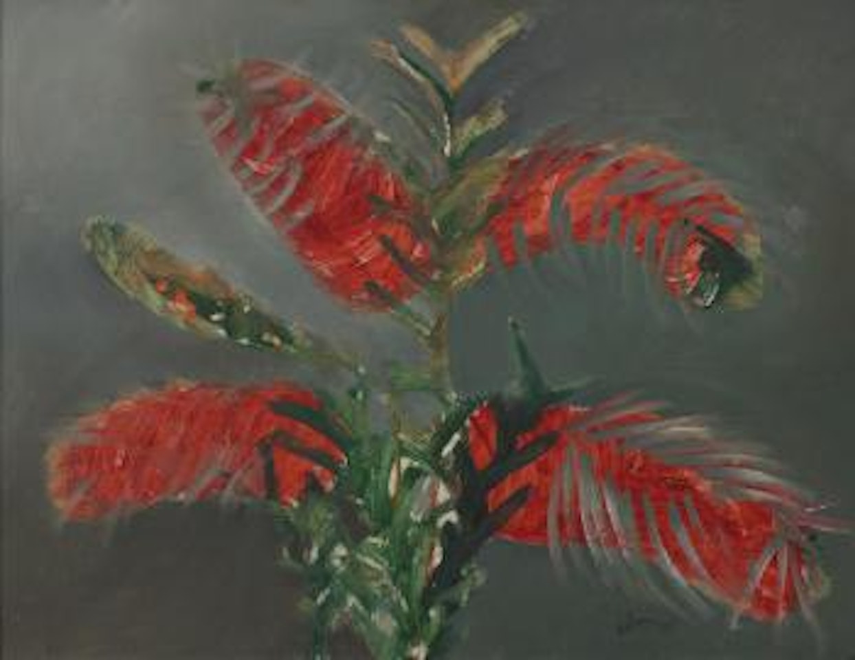 Bottlebrush by Sidney Nolan