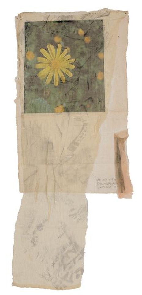 Sunflower by Robert Rauschenberg