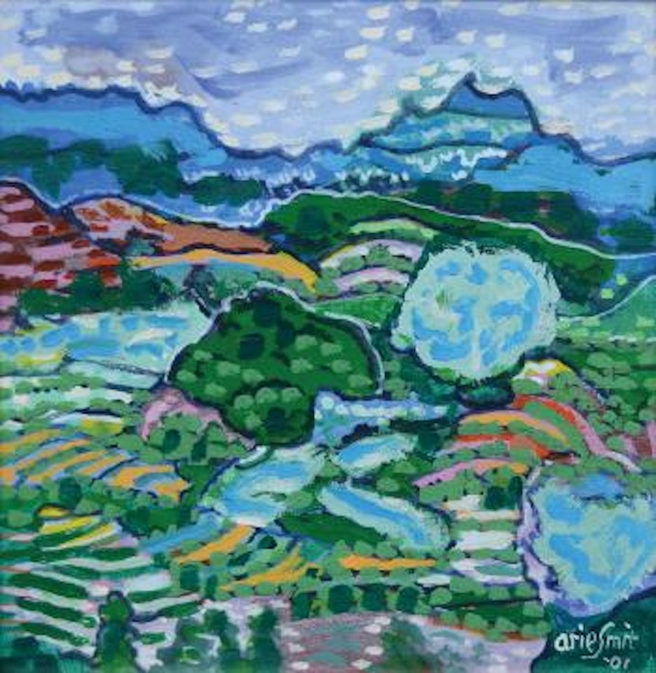 Landscape by Arie Smit