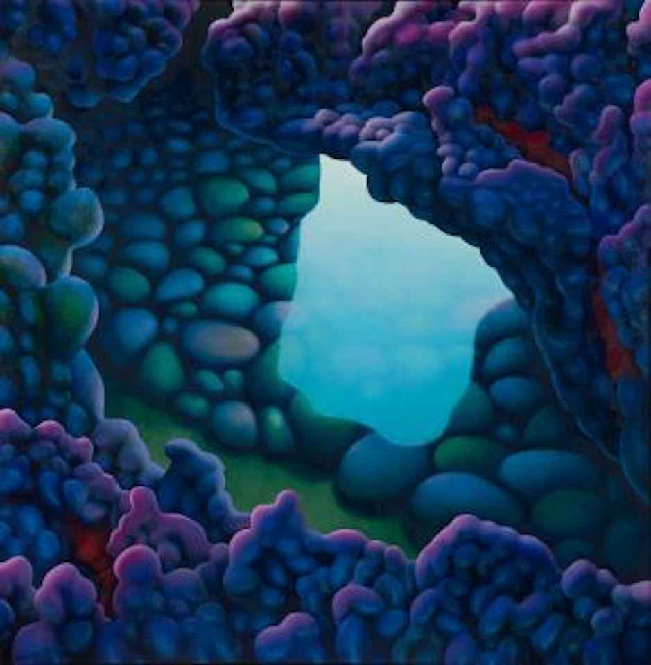 Lava flow cave by Michael Smither