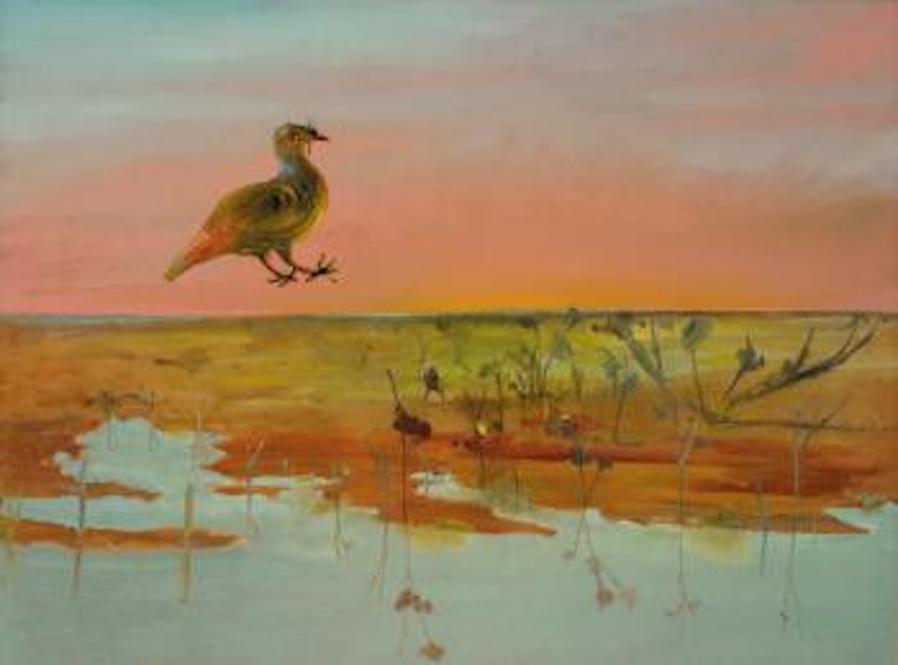 Desert bird by Sidney Nolan