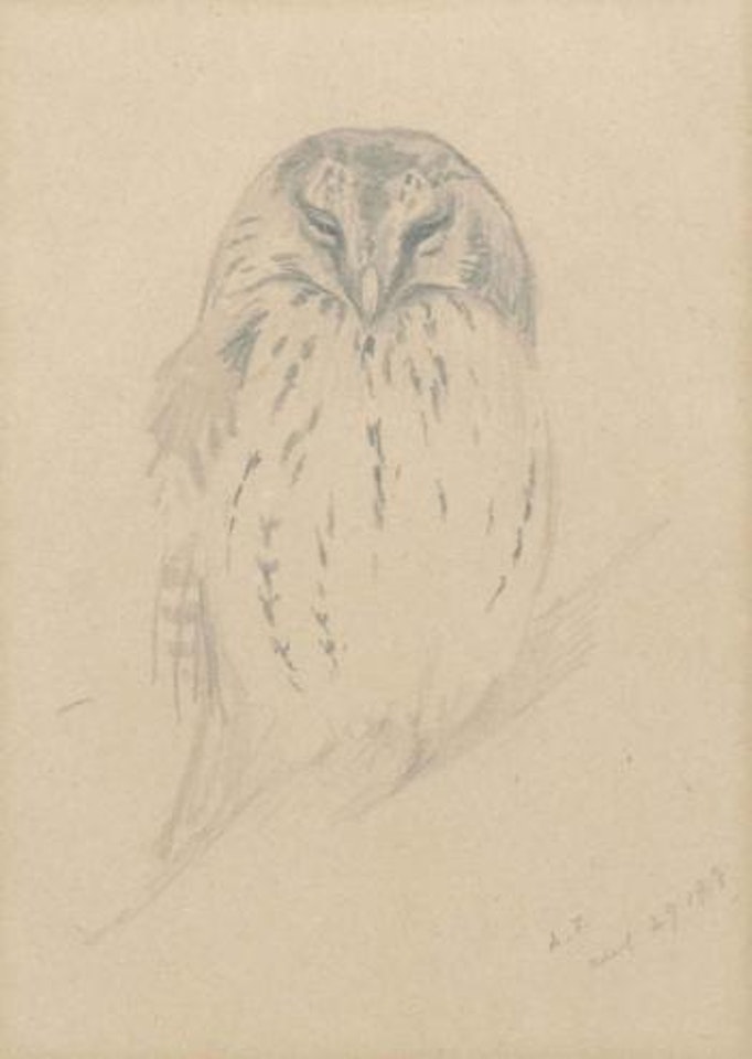 Study of a sleeping owl by Archibald Thorburn
