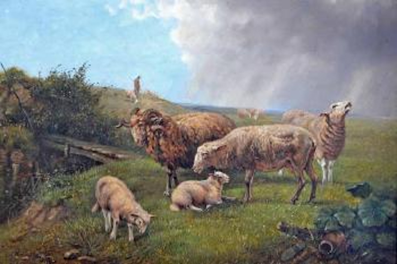 Sheep in the pasture by Eugène Joseph Verboeckhoven