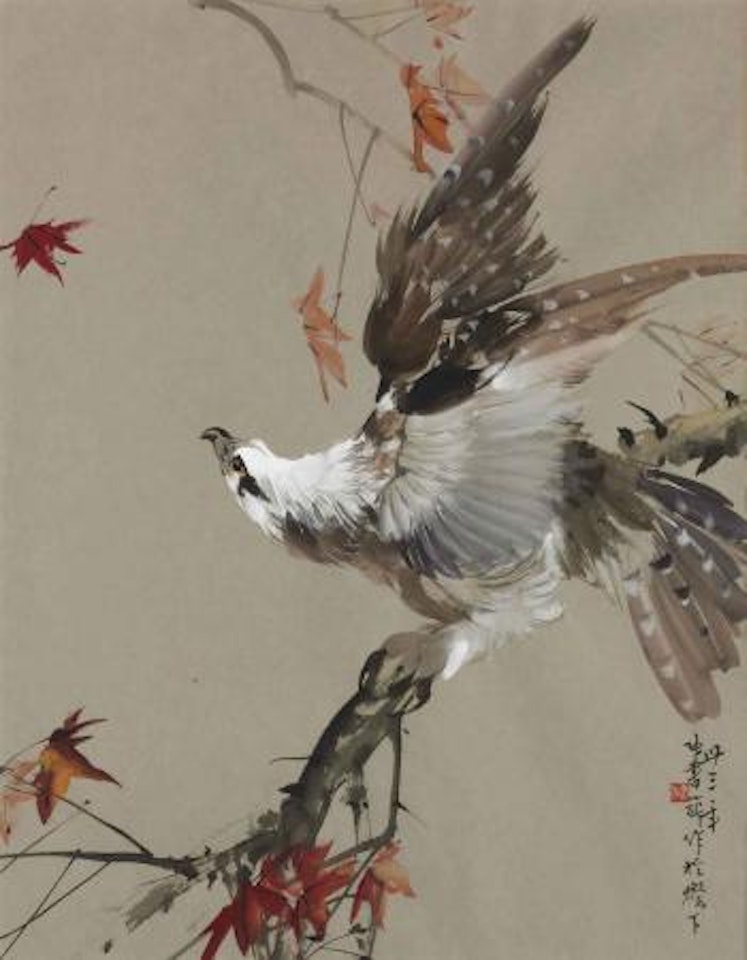 Eagle by Zhang Shuqi