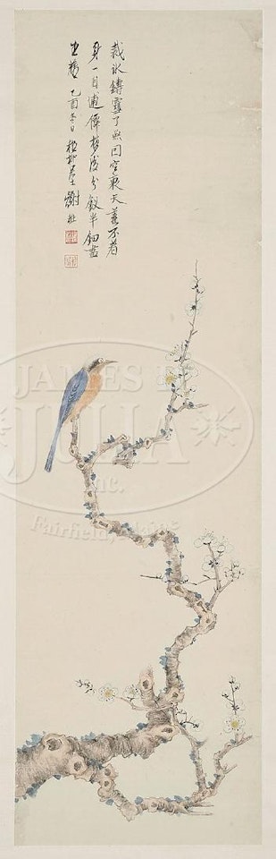 Bird perched on prunus branches by Xie Zhiliu
