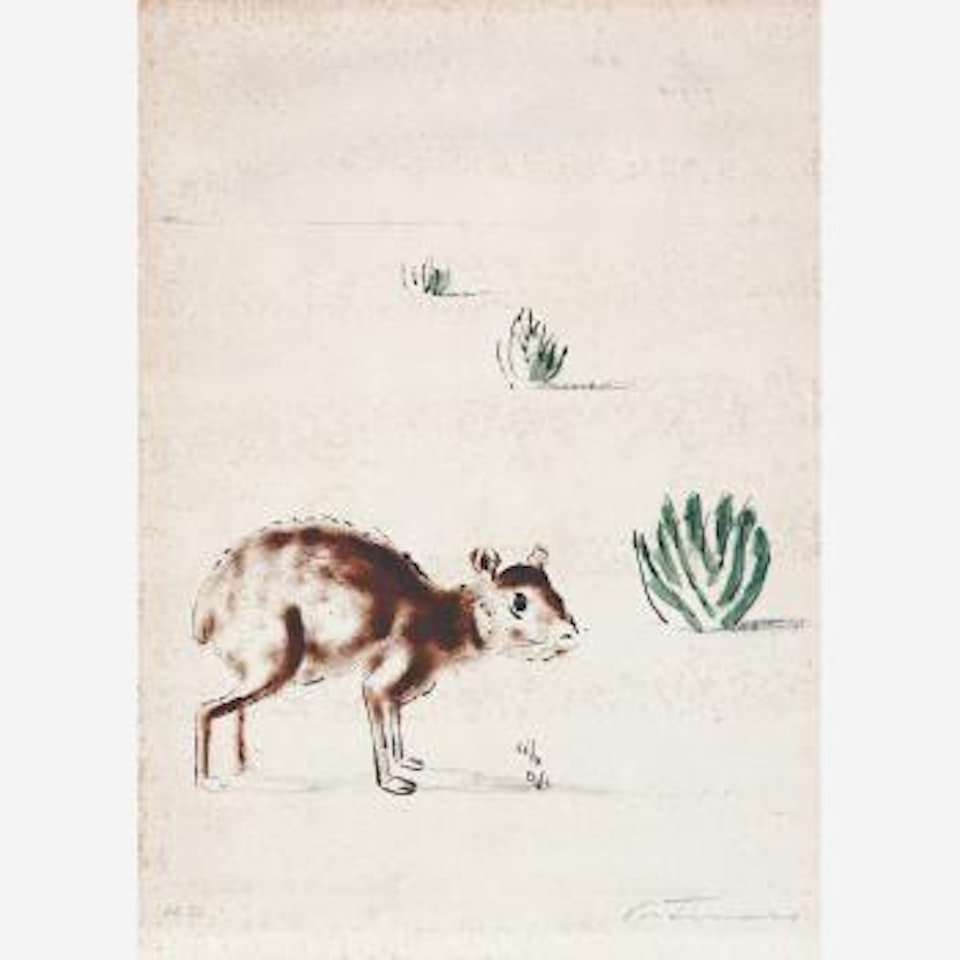 Cotia by Cándido Portinari